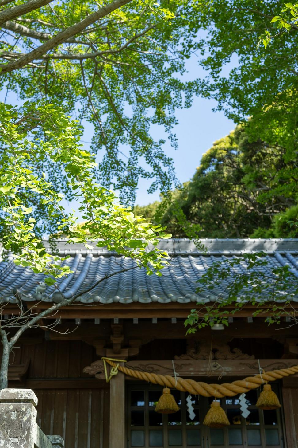 Sustainability 2020